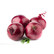 New Crop Fresh Red Onion with Strong Flavor